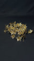 Pure Silver Shiny Golden Flowers 6.13g Pack Of 3